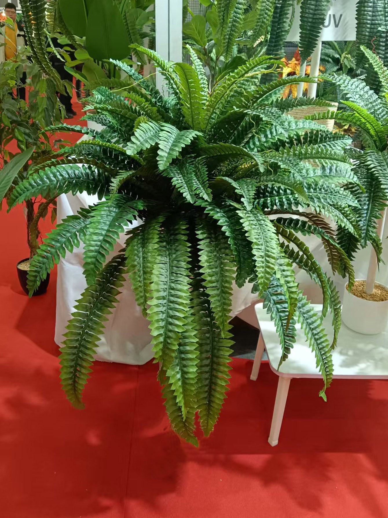 28/58/88 Leaves Artificial Bos - Dracaena Marginata avis et prix