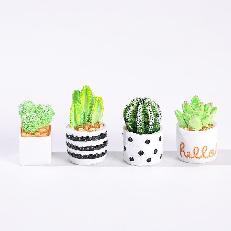 4-Piece Set of Cactus Succulen - Echeveria Succulent avis et prix