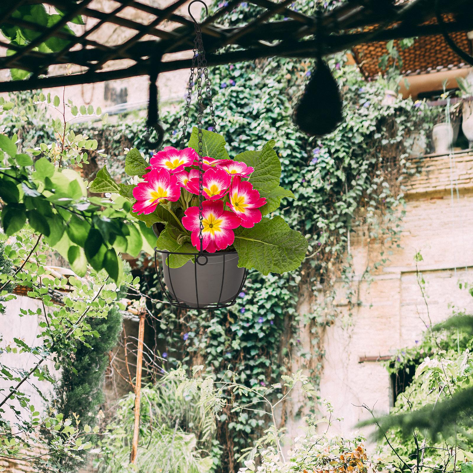 1Pc Iron Hanging Basket Flower - Spider Plant Hanging avis et prix