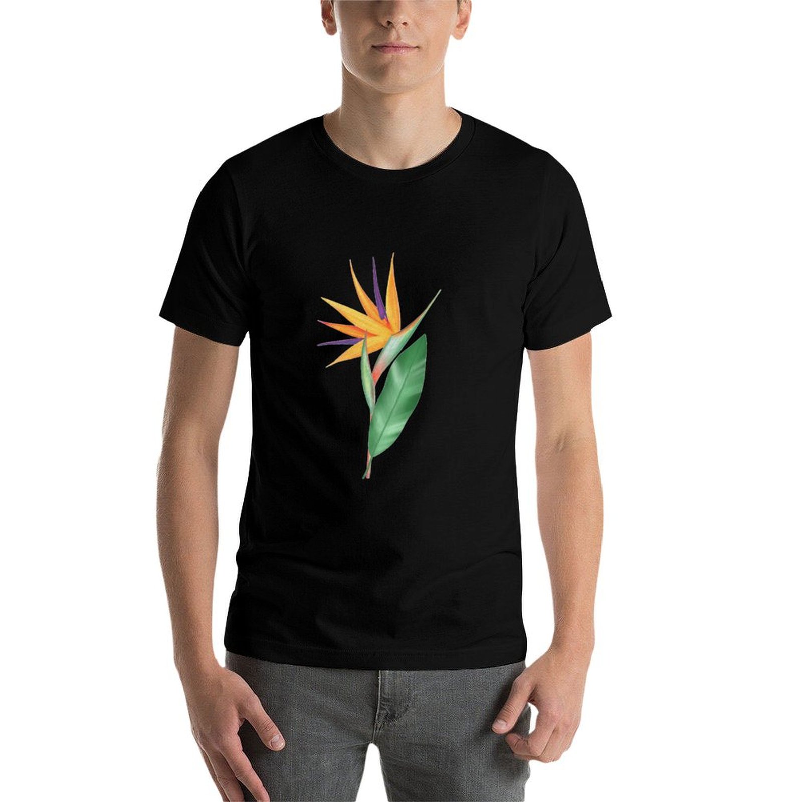 Watercolor bird of paradise fl - Bird Paradise Strelitzia avis et prix