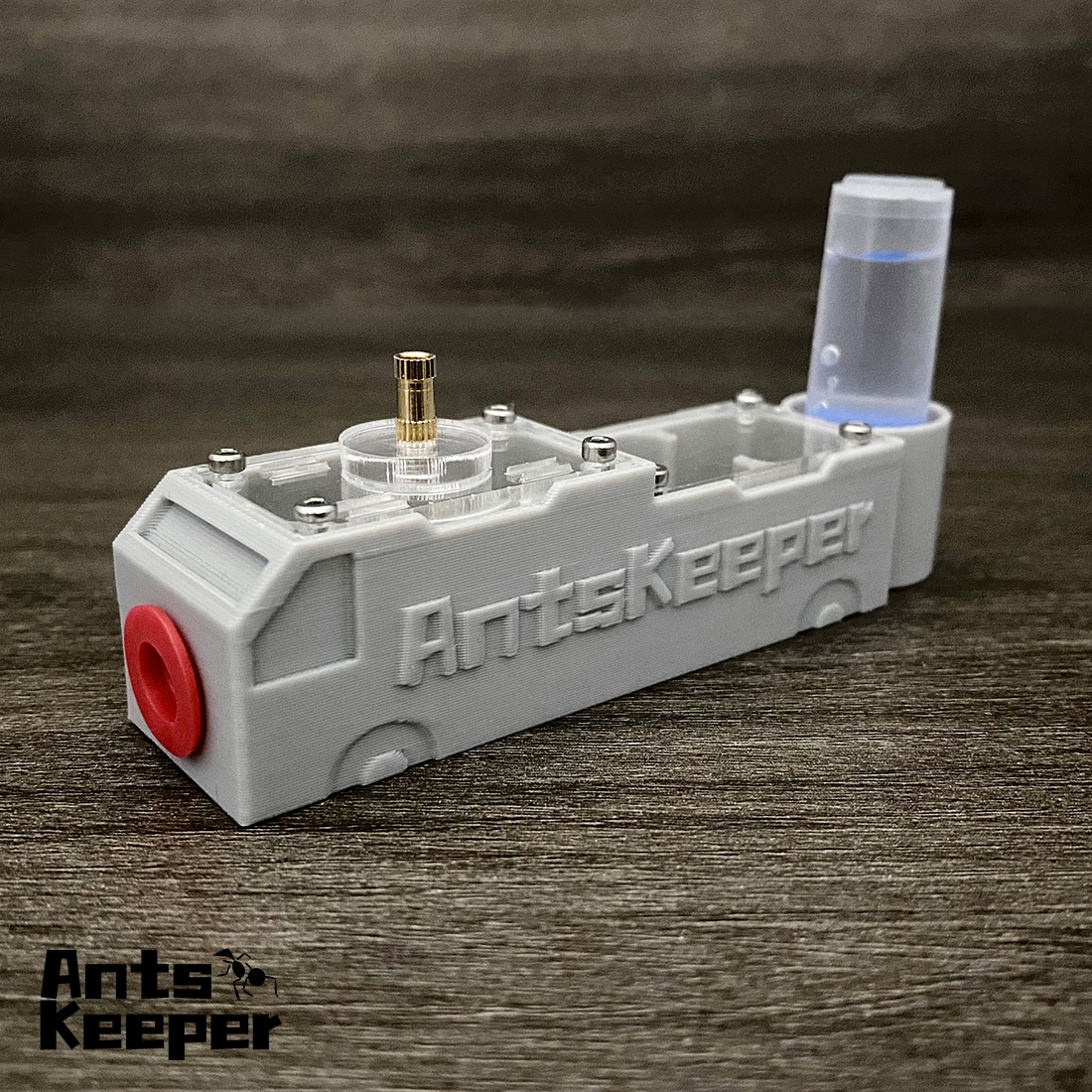 【Truck】Ant Farm for Ants keepe - Begonia Rex avis et prix