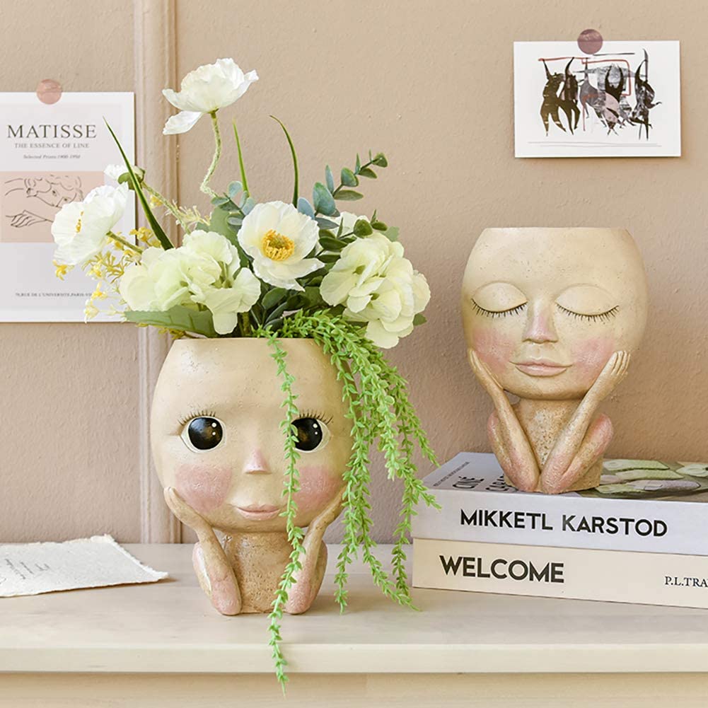 Girls Face Head Flower Planter - Echeveria Succulent avis et prix
