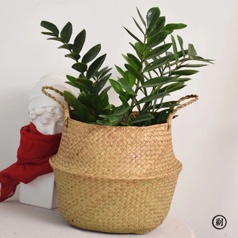 Wicker Basket Toy Organizer Fo - Aloe Vera Pot avis et prix