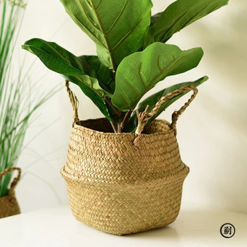 Wicker Basket Toy Organizer Fo - Aloe Vera Pot avis et prix