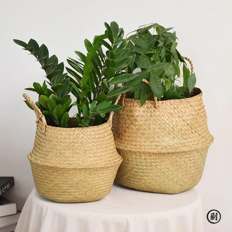 Wicker Basket Toy Organizer Fo - Aloe Vera Pot avis et prix